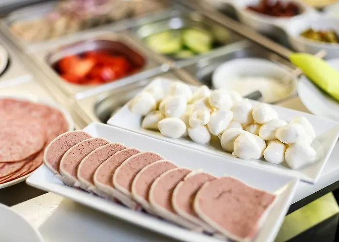 弗洛妮卡酒店 酒店 俄斯特拉发