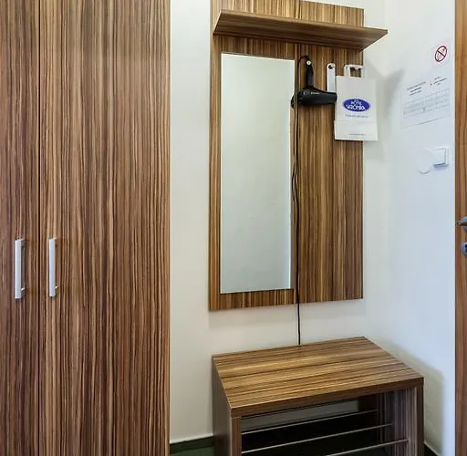 弗洛妮卡酒店 3* 俄斯特拉发