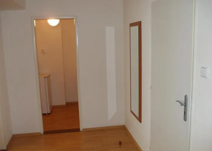 酒店 弗洛妮卡酒店 俄斯特拉发